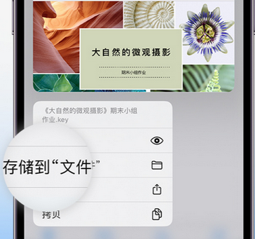 韩城apple维修中心分享iPhone文件应用中存储和找到下载文件