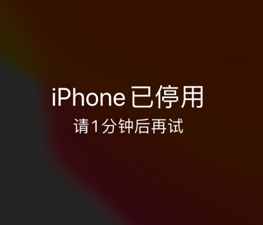 韩城苹果手机维修分享:iPhone 显示“不可用”或“已停用”怎么办？还能保留数据吗？ 