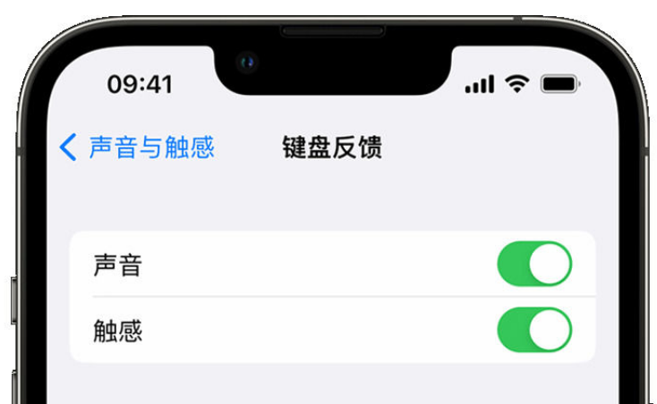 韩城苹果手机维修分享iPhone 14触感键盘使用方法 