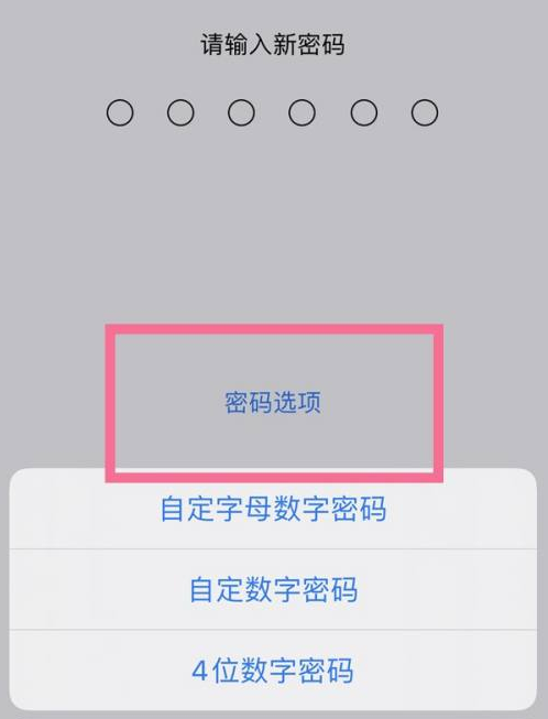 韩城苹果14维修分享iPhone 14plus设置密码的方法 