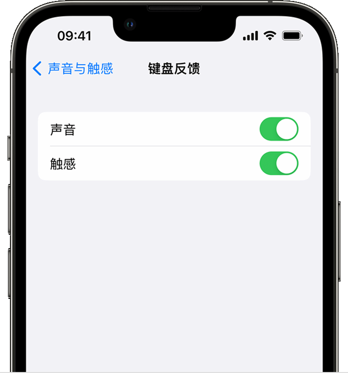 韩城苹果14维修分享iPhone 14 系列机型如何开启键盘声音或触感反馈 