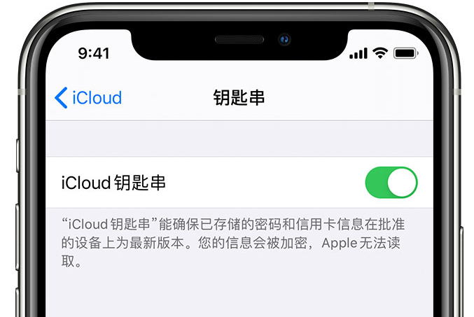 韩城苹果手机维修分享在 iPhone 上开启 iCloud 钥匙串之后会储存哪些信息 