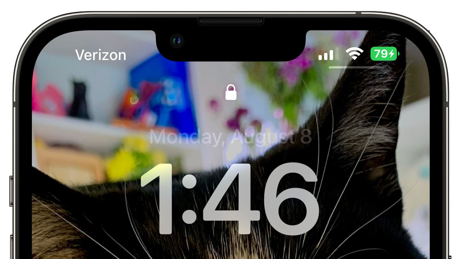韩城苹果手机维修分享iOS 16 beta 5 支持状态栏显示电池百分比，如何开启？支持哪些机型 