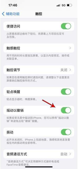 韩城苹果手机维修分享iPhone手机如何设置摇一摇删除文字 