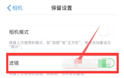 韩城苹果13维修分享iPhone13拍照有绿点是怎么回事 
