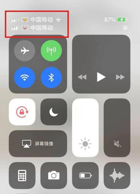 韩城苹果手机维修分享为 iPhone 12 双卡设置标签 